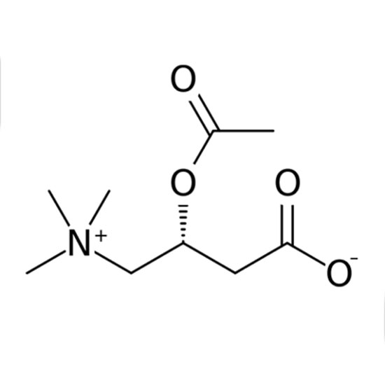 Acetyl L Carnitine